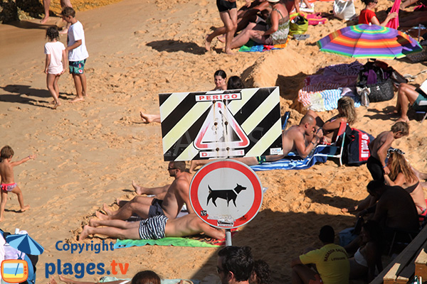 Chiens interdits sur la plage de Camilo Norte de Lagos - Portugal