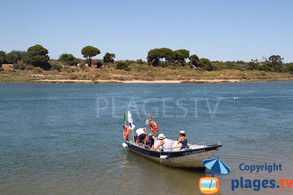 Navette pour la plage de Cabanas - Portugal