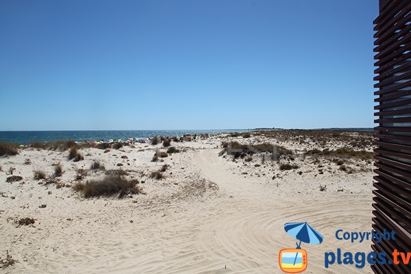 Dunes de l'ile de Cabanas - Portugal