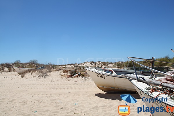 Dunes le long de la plage de Lota - Vila Real Santo Antonio
