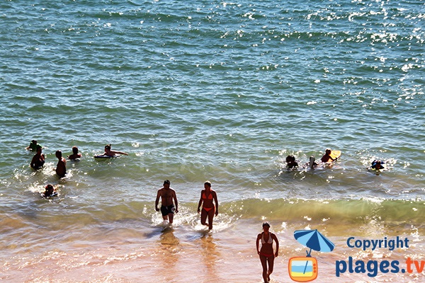 Baignade sur la plage du Molhe à Ferragudo - sud du Portugal
