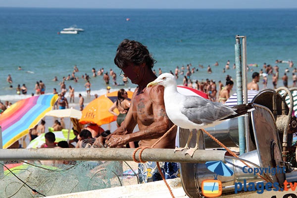 Pêcheurs à Armacao de Pera au Portugal